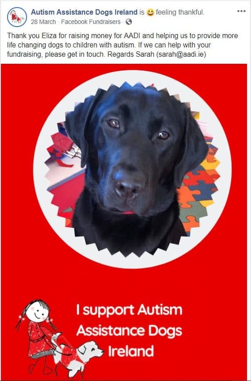 Autism Assistance Dogs Ireland