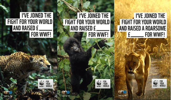 WWF-UK’s stories