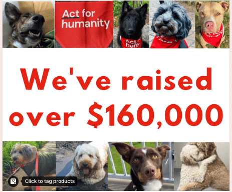 The image features several photos of dogs wearing the Australian Red Cross bandana. There are various breeds. Over the top, there is a banner with text that reads We've raised over $160,000