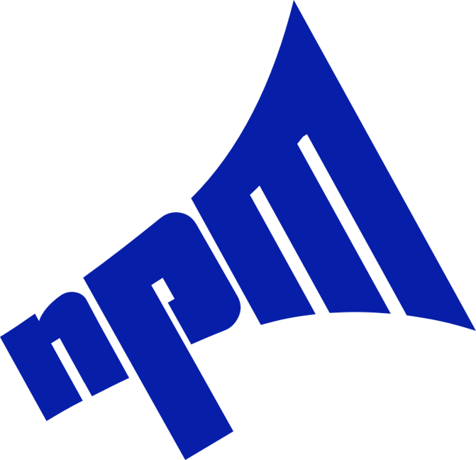 NPM Logo Icon