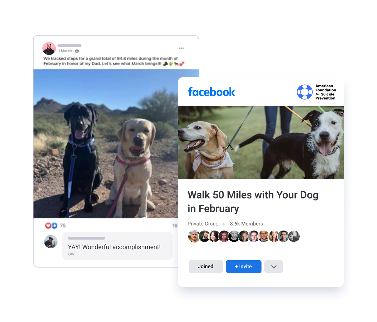 Run Facebook Challenges