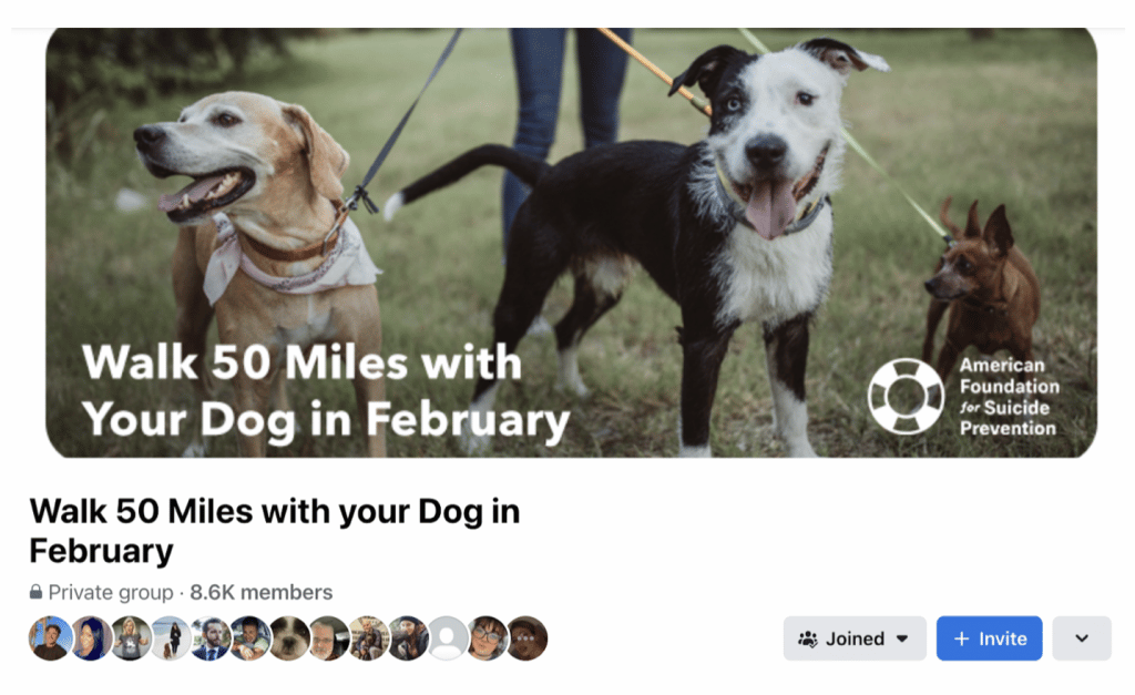 Screenshot of AFSP's Facebook Challenge Group banner image